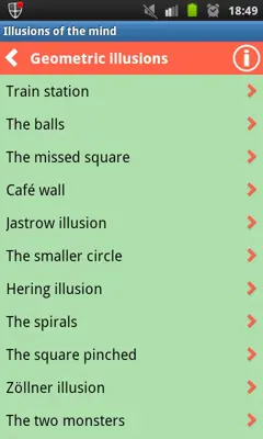 Illusions of the brain android App screenshot 3